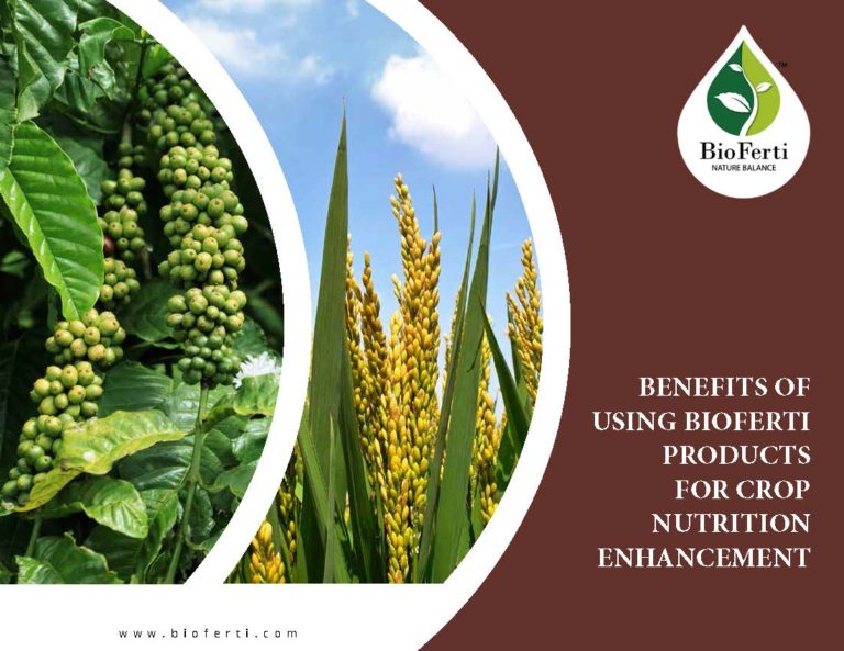 Read more about the article BENEFITS OF USING BIOFERTI PRODUCTS FOR CROP NUTRITION ENHANCEMENT