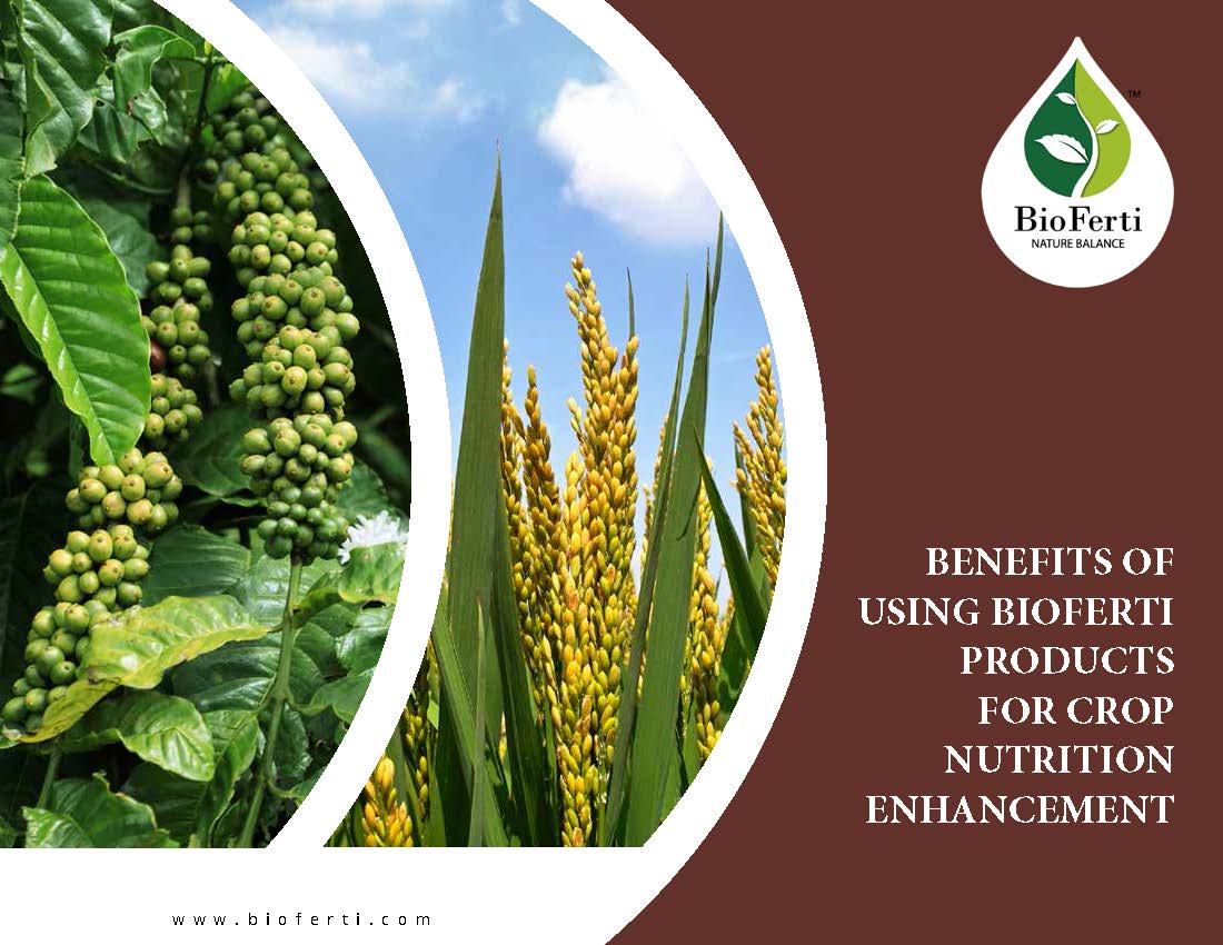 You are currently viewing BENEFITS OF USING BIOFERTI PRODUCTS FOR CROP NUTRITION ENHANCEMENT